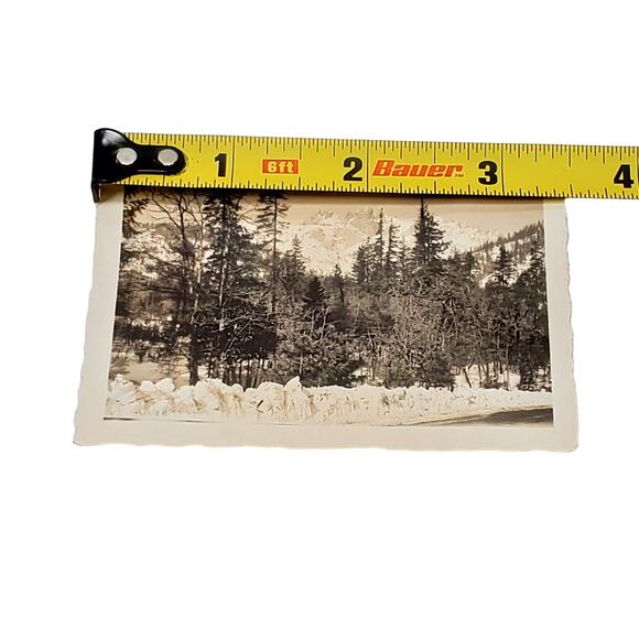 Vtg B&W Photo Found 1940 Canada Trees Nature Mountain Rocks Scenery Snapshot - Picture 4 of 4
